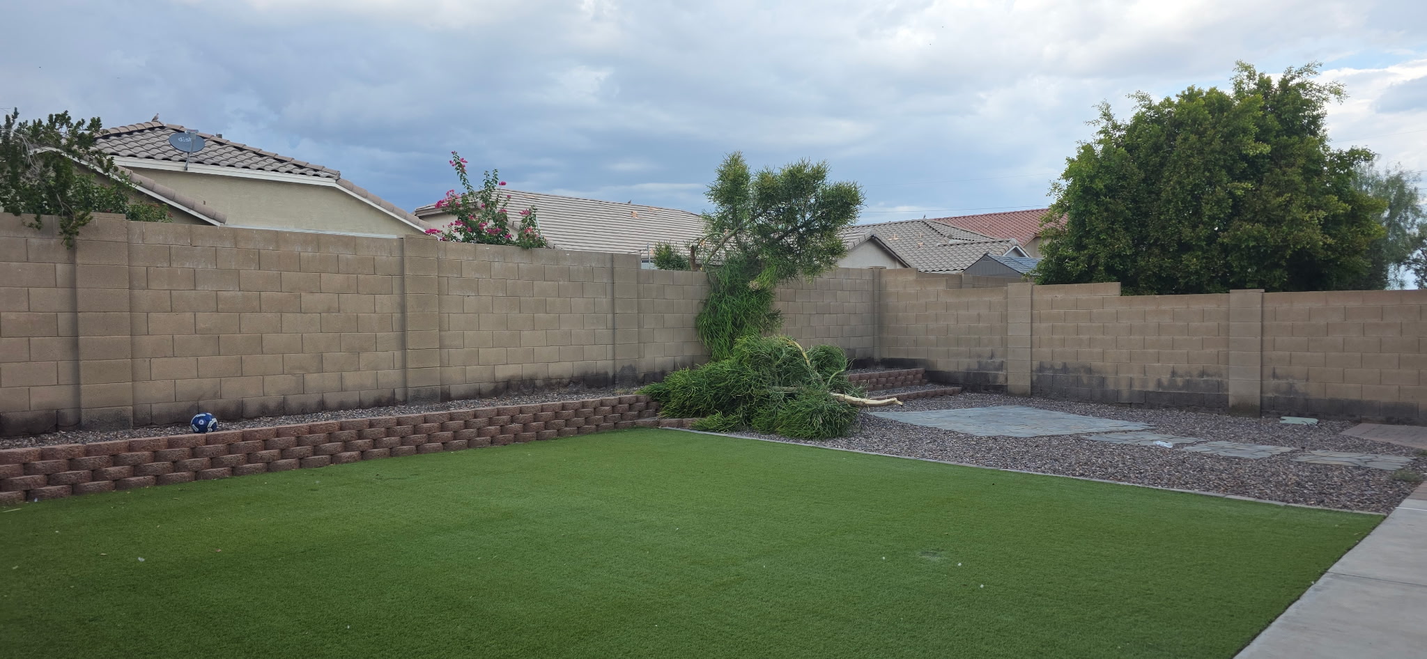 Before back yard tree removal by Smiley's Landscaping LLC