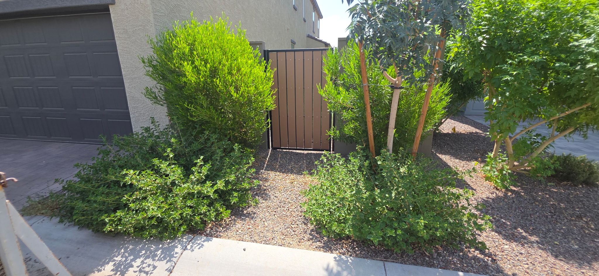Before landscaping service in Glendale Arizona