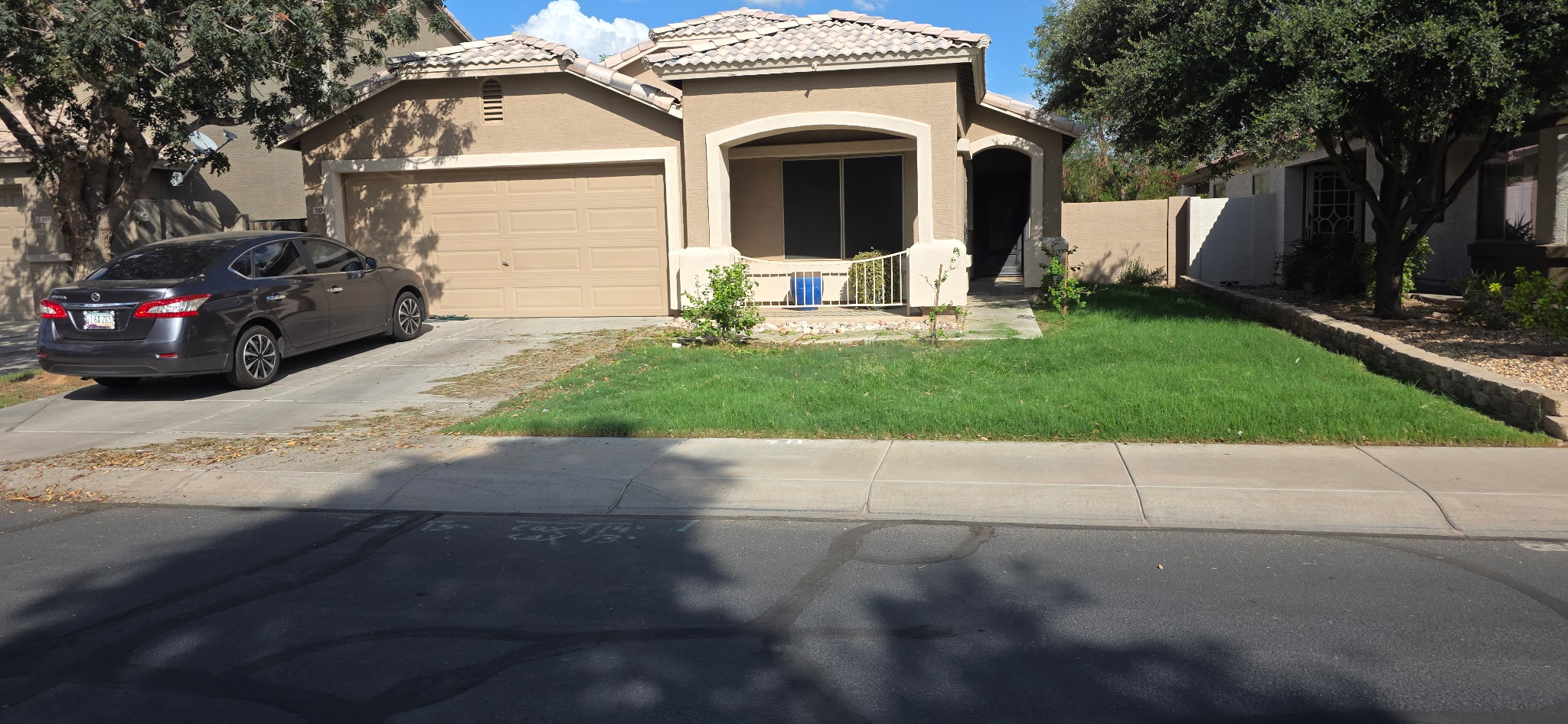Before lawn maintenance and yard cleanup for a Phoenix Metro home