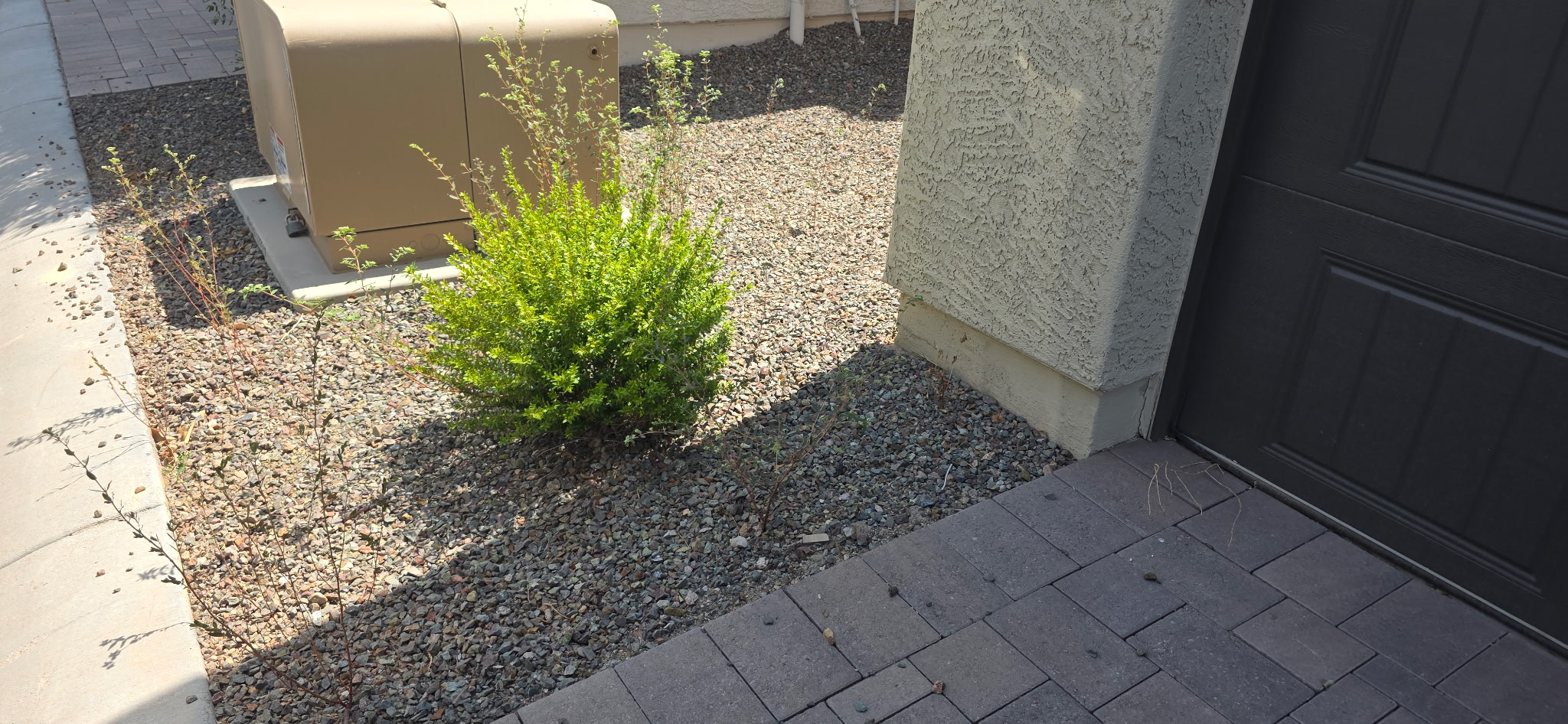 Before weed control and landscaping service near Glendale Arizona